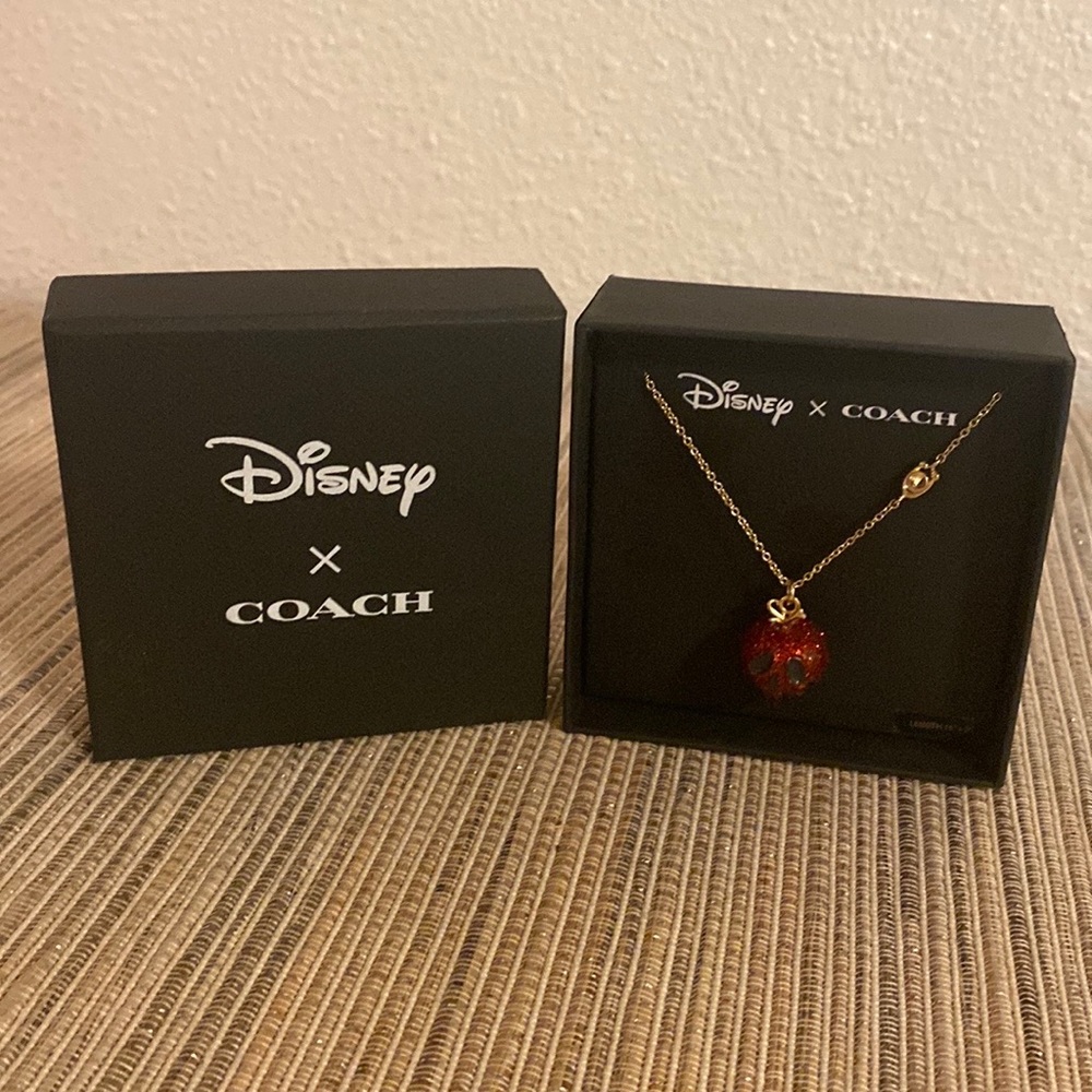 Coach Disney X Snow White Poison Apple Necklace